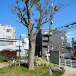 世田谷区の公園