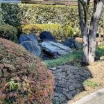 世田谷区の公園