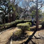 世田谷区の公園