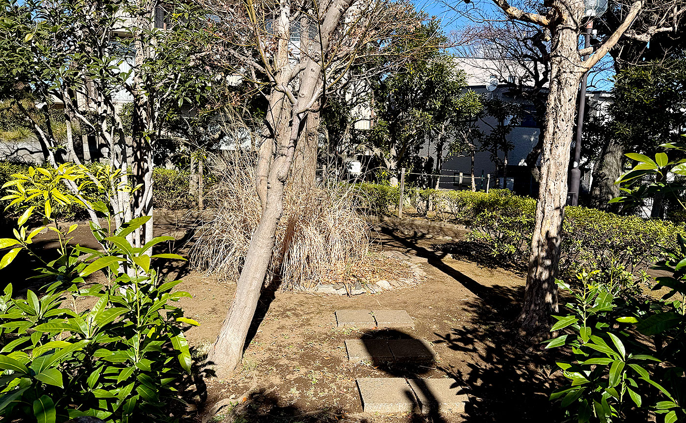 中町南公園