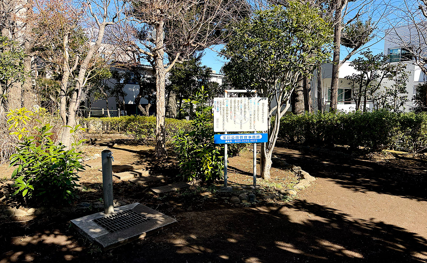 中町南公園