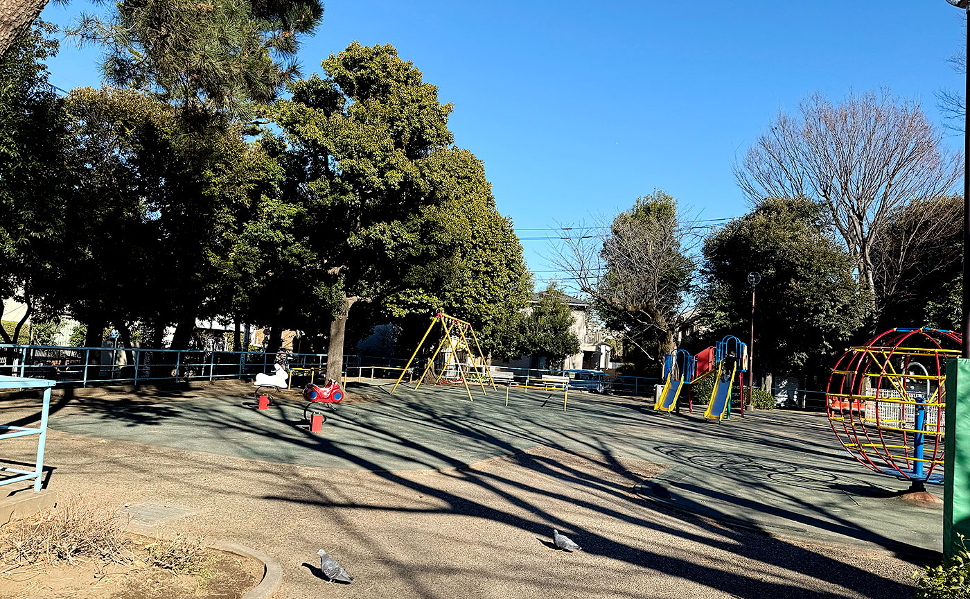 羽根木公園
