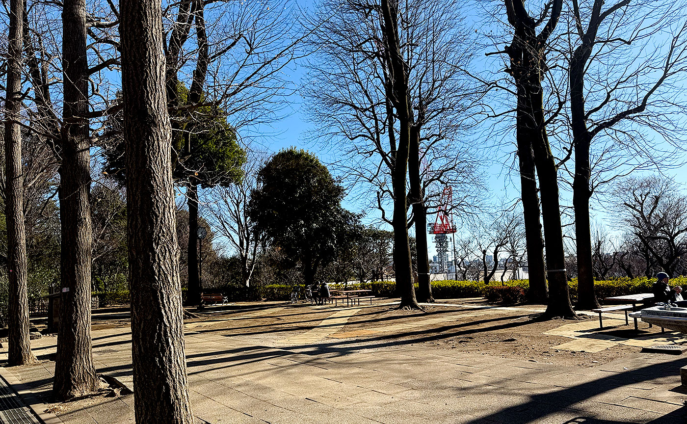 羽根木公園