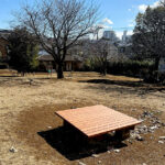 世田谷区の公園