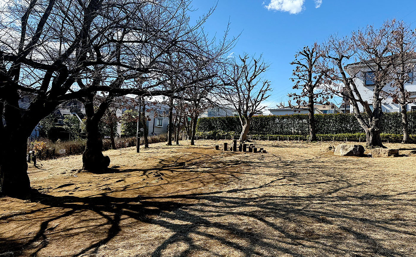 等々力八丁目公園