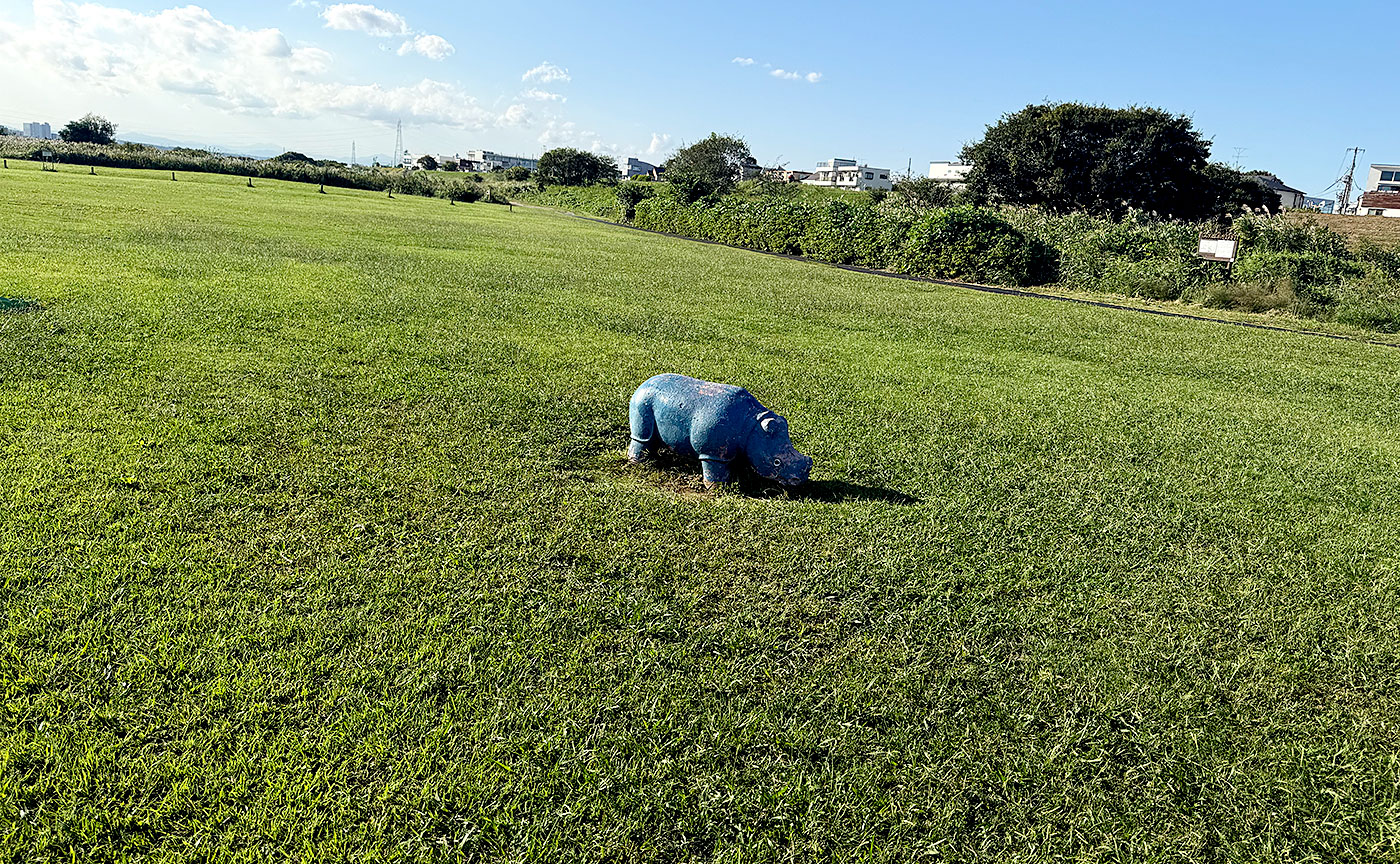 多摩川二子橋公園