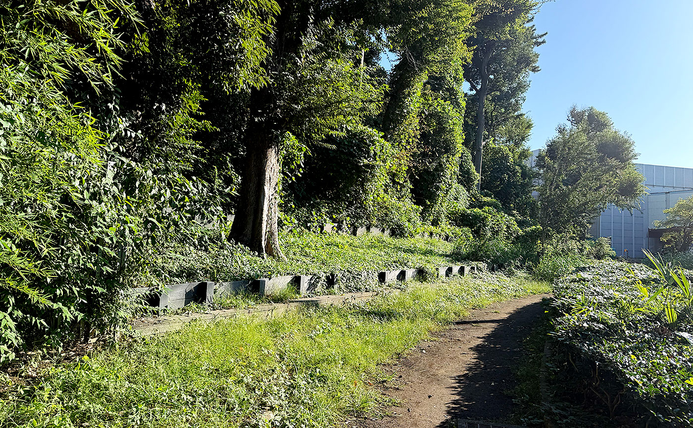 田直公園