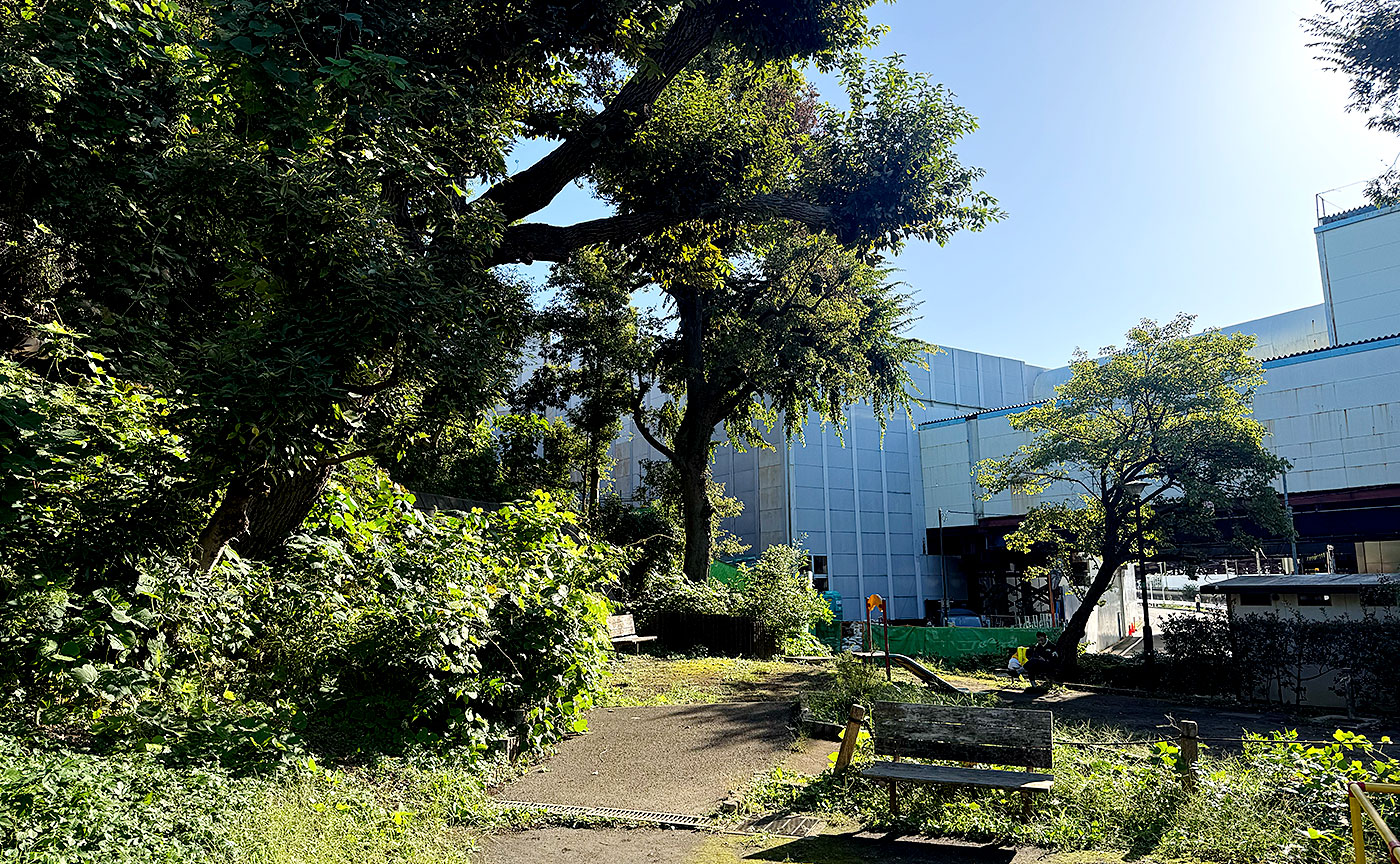 田直公園