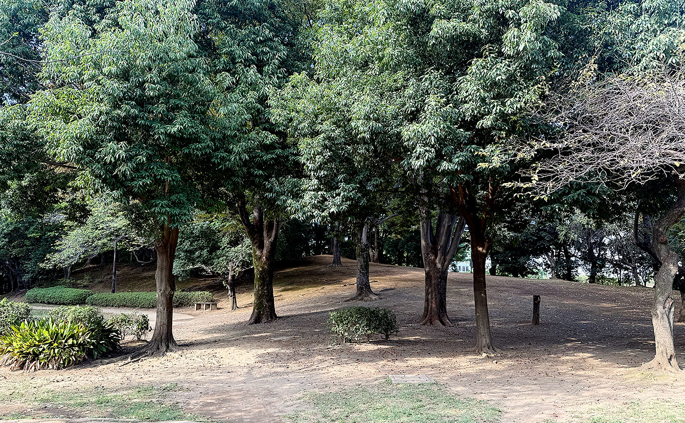 次大夫堀公園