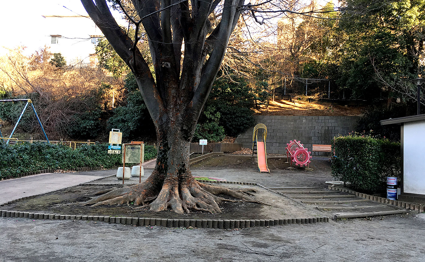 田直公園