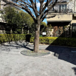 世田谷区の公園