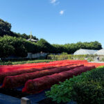 世田谷区の公園