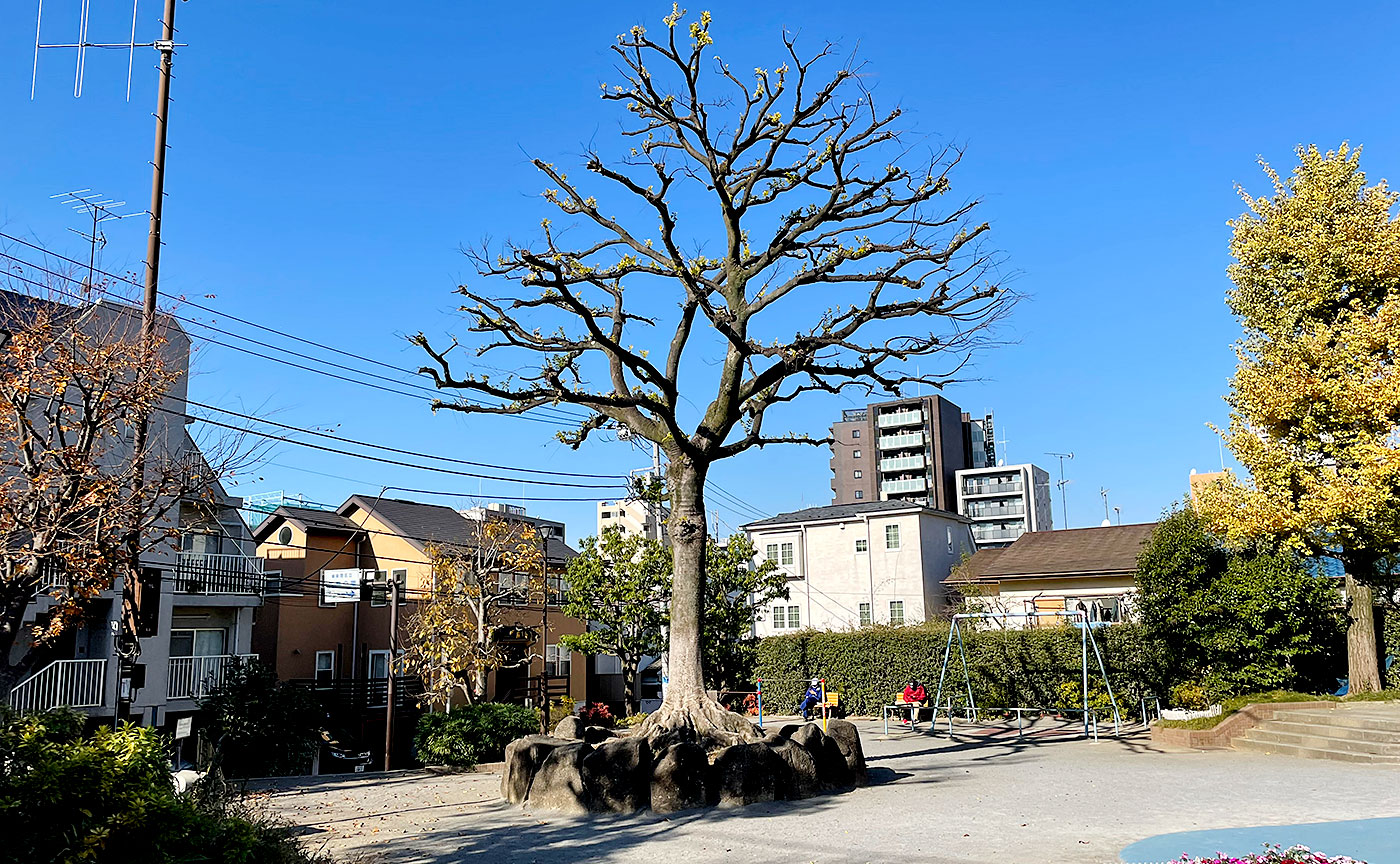 矢来公園