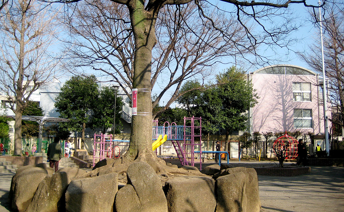 矢来公園