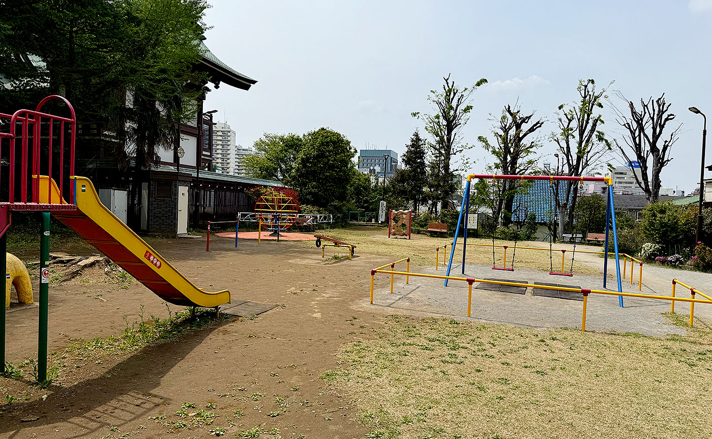 諏訪の森公園