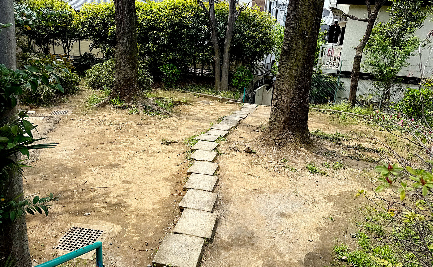 諏訪の森公園