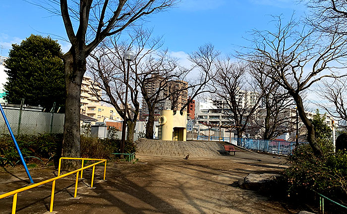 諏訪公園