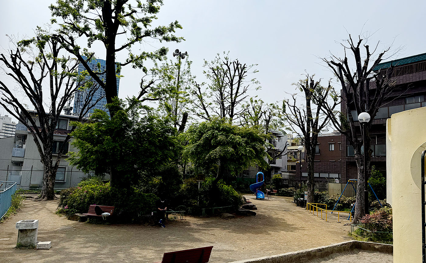 諏訪公園