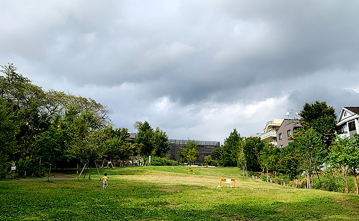 おとめ山公園