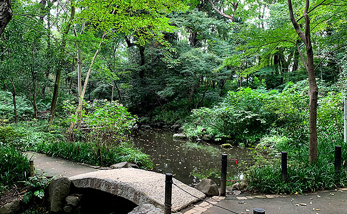 おとめ山公園