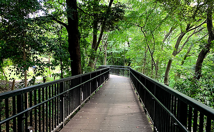 おとめ山公園