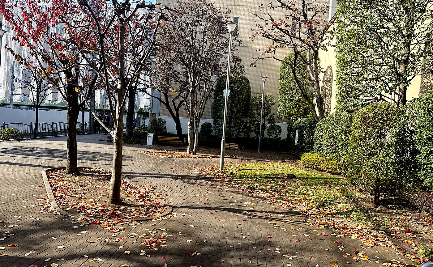 信濃町希望公園