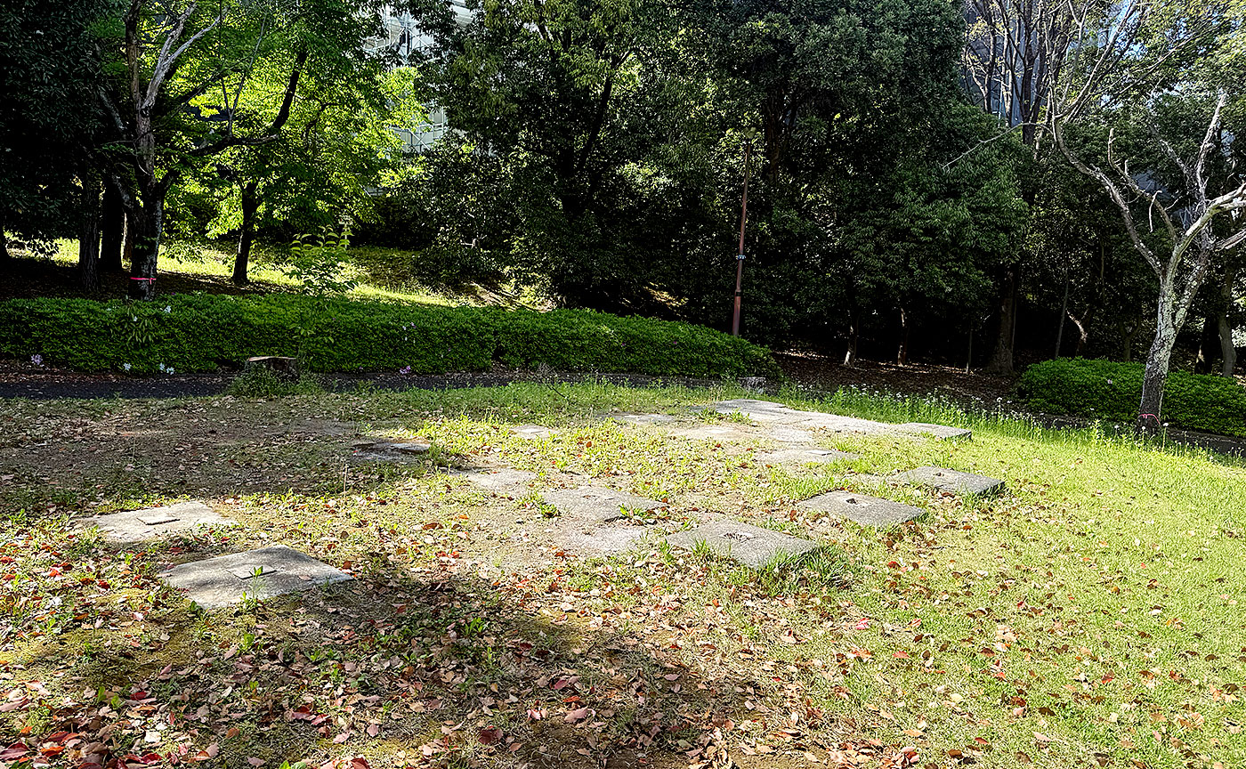 とちのき公園