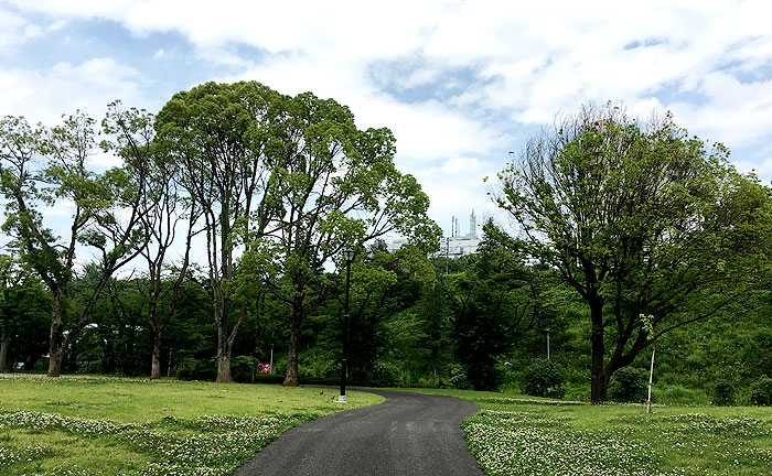 永山北公園