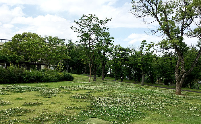 永山北公園