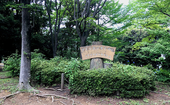 永山北公園