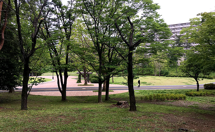 永山北公園