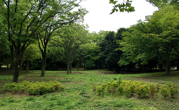 永山北公園
