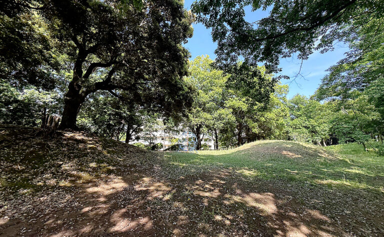 多摩市の公園