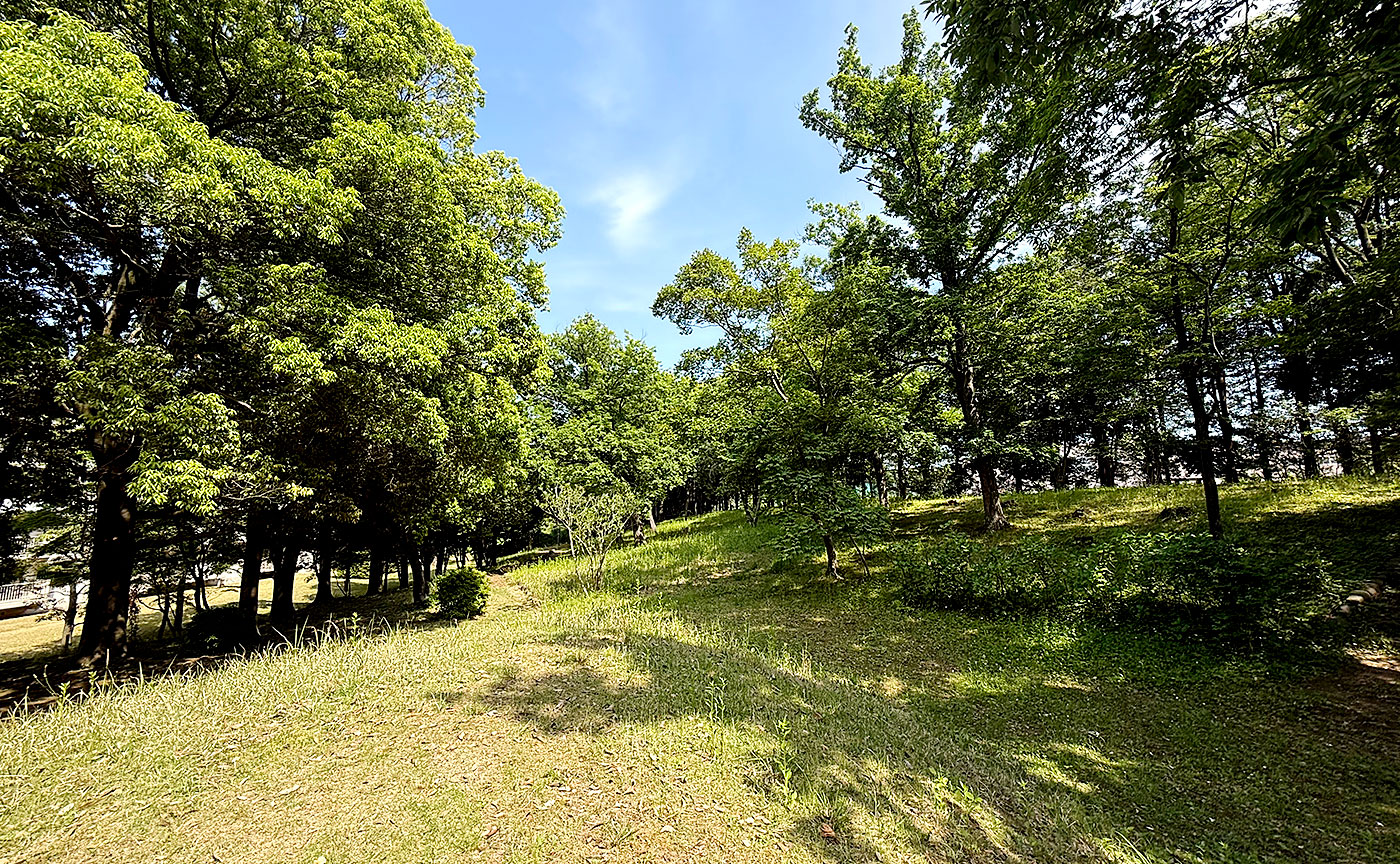 豊ヶ丘第七公園