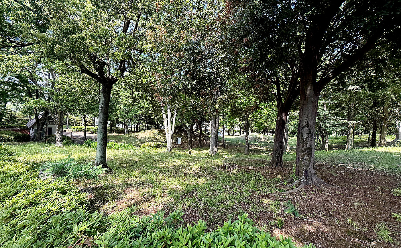 豊ヶ丘第七公園