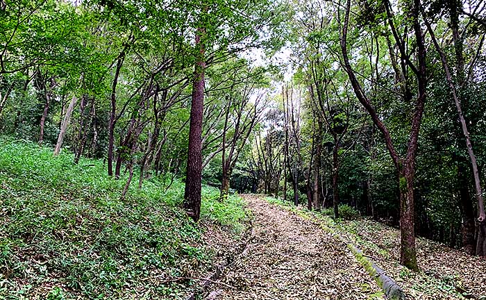 豊ヶ丘北公園