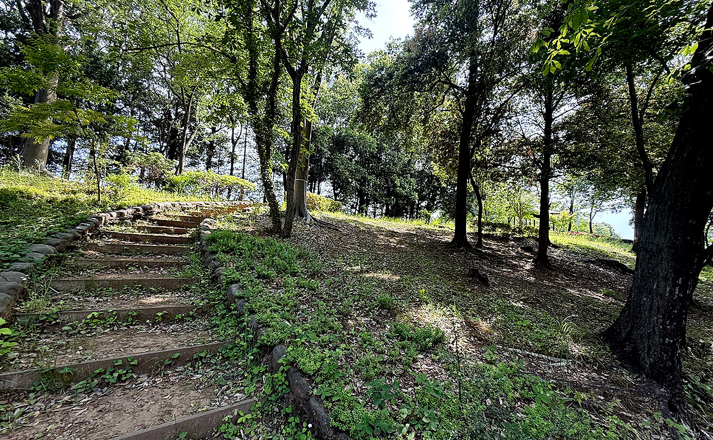 豊ヶ丘第七公園