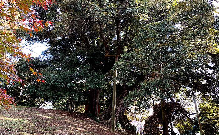 平久保公園