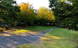 新宿区公園探訪