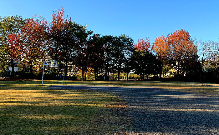 諏訪第六公園