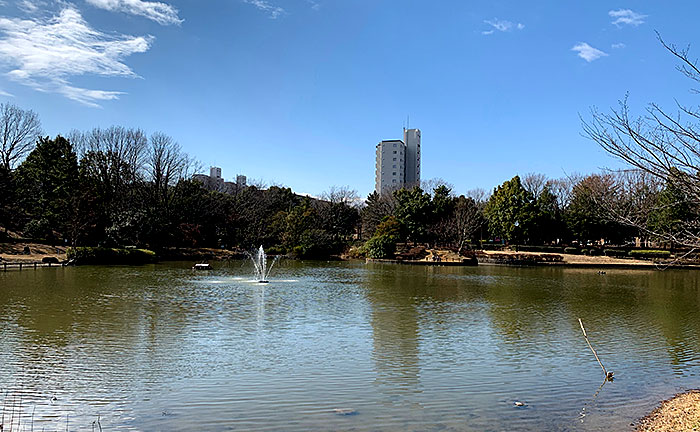 豊ヶ丘南公園