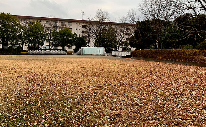 豊ヶ丘第八公園