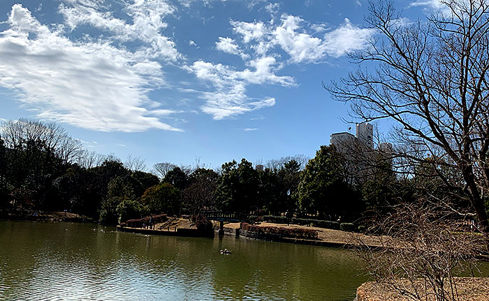 豊ヶ丘南公園