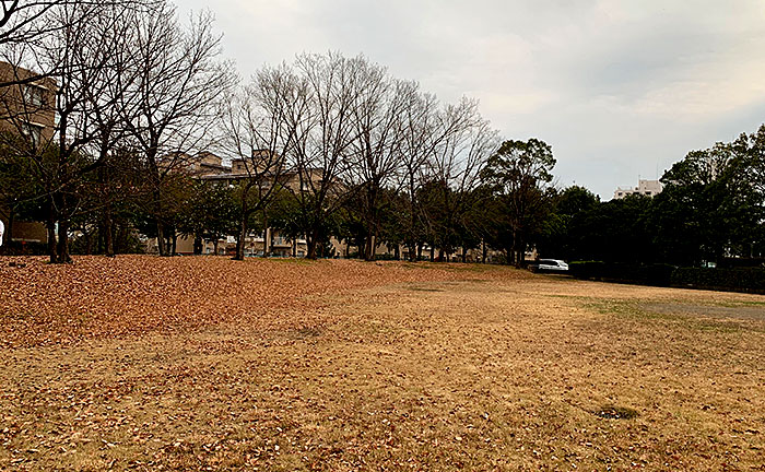 豊ヶ丘第八公園