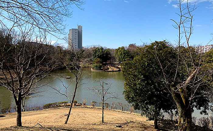 豊ヶ丘南公園