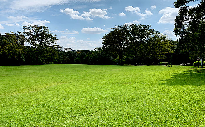 貝取北公園