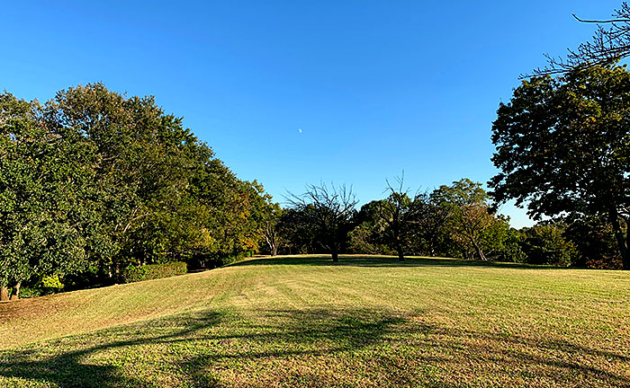 馬引沢南公園