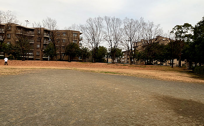 豊ヶ丘第八公園