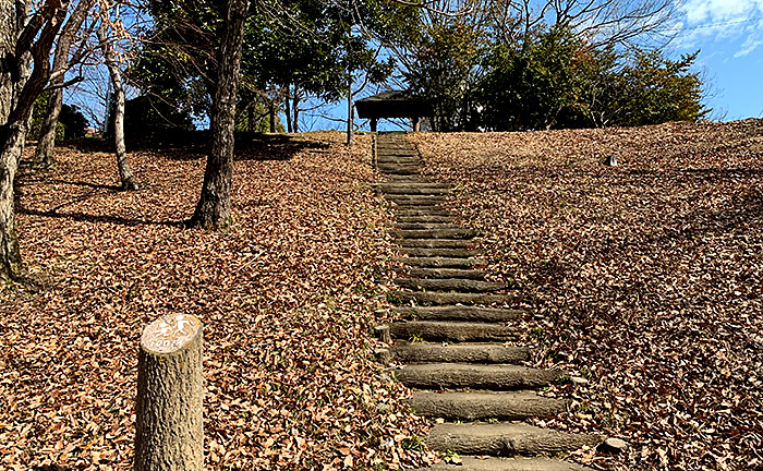 豊ヶ丘南公園