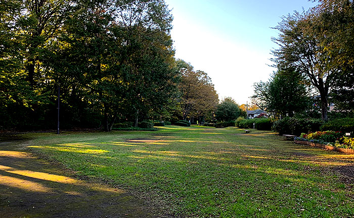 馬引沢南公園